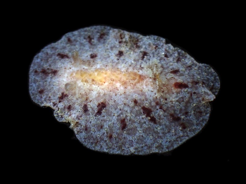 r0002a